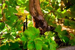 GALLERY-05