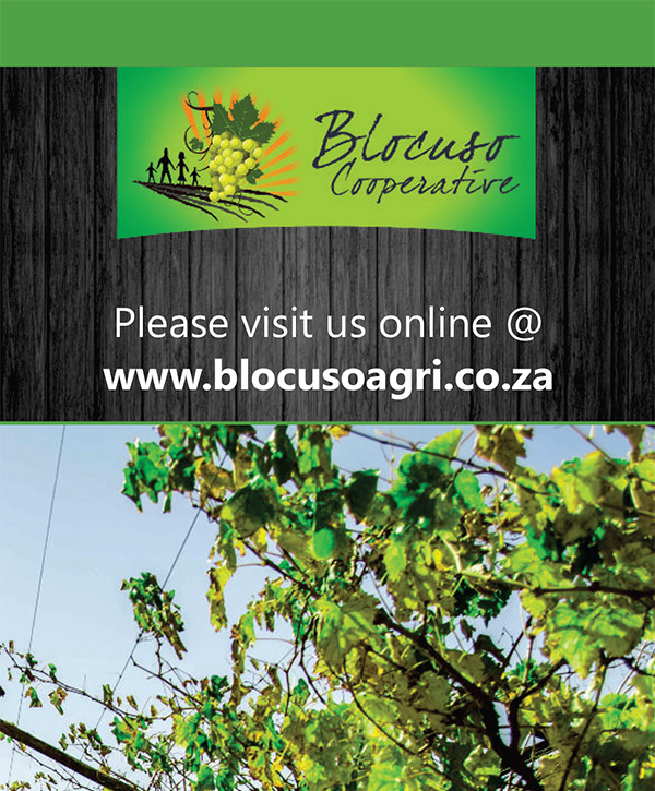 FT-PUBLICATIONS: Trifold Brochure Blocuso